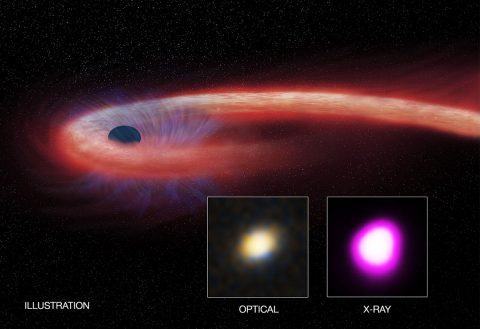 Artist’s illustration depicts what astronomers call a “tidal disruption event,” or TDE. (CXC/M. Weiss; X-ray: NASA/CXC/UNH/D. Lin et al, Optical: CFHT)