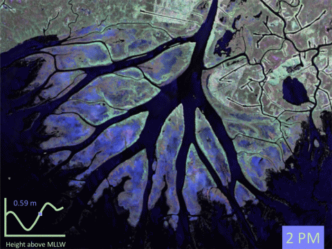 False-color images of rising tide at Wax Lake Delta, Louisiana, made by JPL's Uninhabited Aerial Vehicle Synthetic Aperture Radar instrument on Oct. 17, 2016. Red, blue and green correspond to different land-surface properties. Rising water appears as increasing darkness. (NCAR/JPL-Caltech)