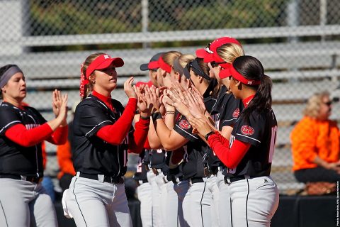 Austin Peay Softball heads to Nashville to take on Lipscomb this weekend. (APSU Sports Information)