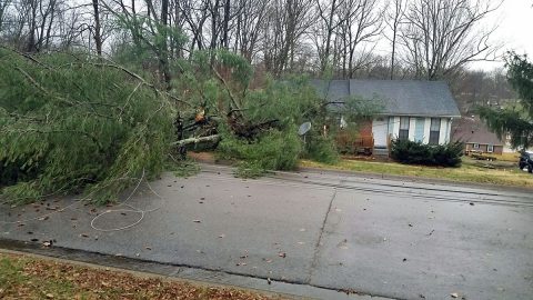 Storm damage.