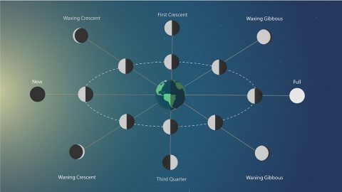 When the moon, on its orbit around Earth, reaches the point farthest from the sun, we see a full moon. When the moon is on the side closest to the sun we can't see the moon reflecting the sun's light, so it appears dark. This is the new moon. (NASA's Goddard Space Flight Center/Genna Duberstein)