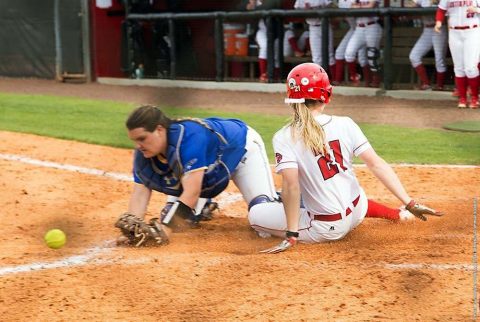 Austin Peay Softball takes on the OVC leading Jacksonville Gamecocks, Friday. (APSU Sports Information)