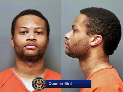 Quentin Bird Quentin Bird