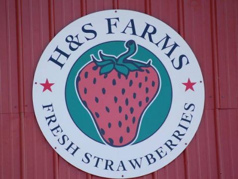 2017 H&S Farms Strawberry Slam this weekend at Heritage Park.