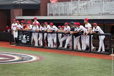 Austin Peay Baseball loses 9-4 to Morehead State Eagles in OVC Baseball Championship action Wednesday night. (APSU Sports Information)