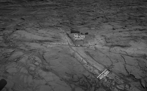 Pale zones called "halos" border bedrock fractures visible in this 2015 image from NASA's Curiosity Mars rover. Measurements overlaid on the image offer a sense of scale for the size of these fractures. The rover team determined that the halos are rich in silica, a clue to the duration of wet environmental conditions long ago. The location is on the lower slope of Mars' Mount Sharp. (NASA/JPL-Caltech)