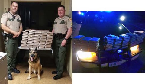 Tennessee Highway Patrol Officers on a traffic stop on I-40 west find 153 pounds of marijuana.