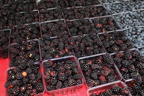 Black Berries