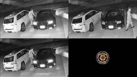 Clarksville Police are asking the publics help identifying the person in this these photos. Clarksville Police are asking the publics help identifying the person in this these photos.
