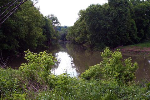 Parts of the proposed Clarksville Urban Wilderness adjoin the Red River.