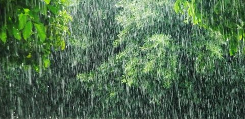 Tropical rainfall may increase more than previously thought as the climate warms. (teresaaaa, CC BY-ND 2.0)