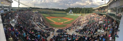 The Ballpark at Jackson. (Tyler Springs)