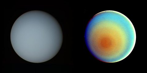 These two pictures of Uranus -- one in true color (left) and the other in false color -- were compiled from images returned Jan. 17, 1986, by the narrow-angle camera of Voyager 2. (NASA/JPL)