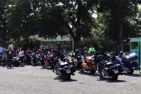  Rattlesnake Saloon