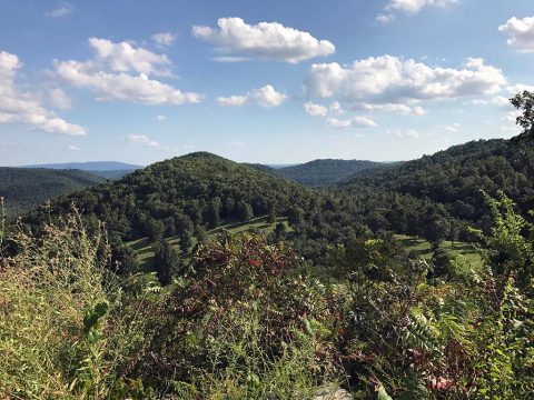 Ozarks Mountains/Mountain View Arkansas