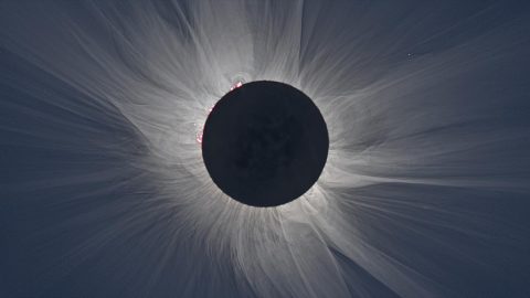 A total solar eclipse gives scientists a rare opportunity to study the lower regions of the Sun's corona. These observations can help us understand solar activity, as well as the unexpectedly high temperatures in the corona. (S. Habbal, M. Druckmüller and P. Aniol)