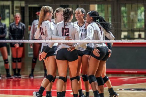 Austin Peay Volleyball takes down Mercer in four sets Saturday at Ole Miss Classic. (APSU Sports Information)