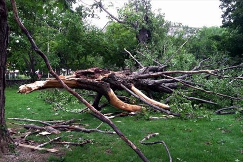 Clarksville Street Department will be doing storm debris pickup for Clarksvillle residents.