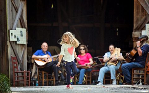 Heritage Music Festival at Nashville Zoo. (Amiee Stubbs)