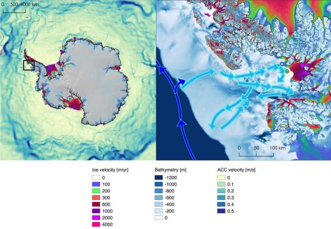 Left, location of Marguerite Bay in Antarctica (box) and deep currents around the continent, with darker colors showing faster water. Right, ice velocities, ocean depth and currents in the bay. (NASA/JPL-Caltech)