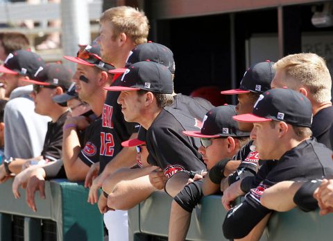 Austin Peay Baseball has 56 games in the 2018 Schedule. (APSU Sports Information)