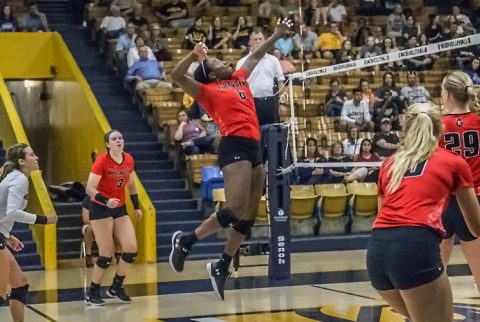 Austin Peay Women's Volleyball now 5-0 in OVC play. (APSU Sports Information)