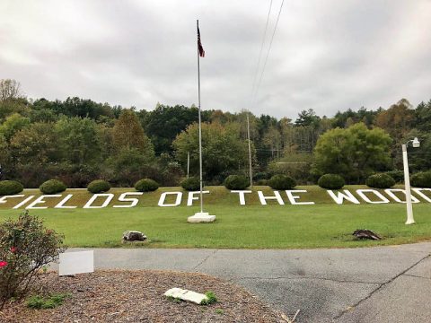 Fields Of The Wood