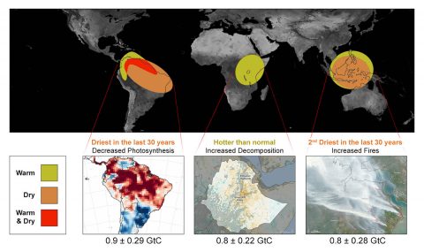 The last El Nino in 2015-16 impacted the amount of carbon dioxide that Earth's tropical regions released into the atmosphere, leading to Earth's recent record spike in atmospheric carbon dioxide. The effects of the El Nino were different in each region. (NASA-JPL/Caltech)