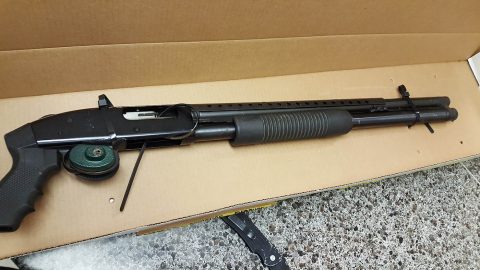 .12 gauge shotgun found at the residence.