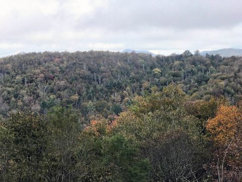 Smoky Mountains