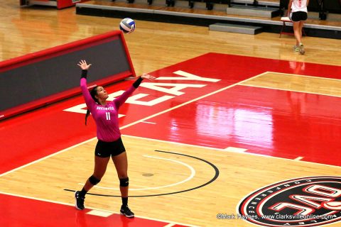 Austin Peay Women's Volleyball junior Christina White cranks out seven aces to help power Govs past Middle Tennessee Wednesday. (APSU Sports Information)