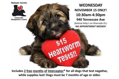 Humane Society of Clarksville-Montgomery County to Offer $15 Heartworm Tests this Wednesday