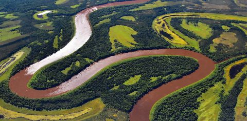 New NASA missions will study terrestrial vegetation, such as these trees along the Kuskokwim River near McGrath, Alaska. (NASA/Peter Griffith)