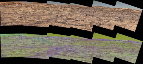 This pair of images from the Mast Camera (Mastcam) on NASA's Curiosity rover illustrates how special filters are used to scout terrain ahead for variations in the local bedrock. (NASA)