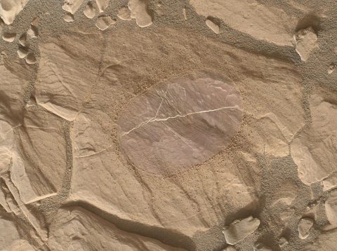 This image from the Mars Hand Lens Imager (MAHLI) camera on NASA's Curiosity Mars rover shows effects of using the rover's wire-bristled Dust Removal Tool (DRT) on a rock target called "Christmas Cove." (NASA)