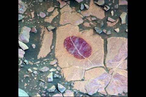 This false-color image demonstrates how use of special filters available on the Mast Camera (Mastcam) of NASA's Curiosity Mars rover can reveal the presence of certain minerals in target rocks.  (NASA)