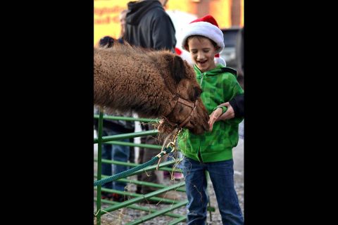 SpiritFest, a free “Pre-Parade Celebration of Christmas,” will feature kids’ inflatables, Santa Claus, complimentary hot chocolate and cookies, Christmas music performances by multiple groups, a live nativity including animals, food trucks and two art and gift markets. 