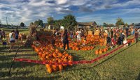 Children of all ages got to select a pumpkin from the pumpkin patch during Campbell Crossings National Night Out event.