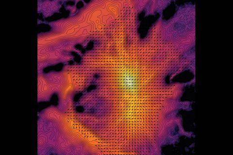 HAWC+ performed polarization measurements at 89 ?m to capture the structure of the magnetic field in the Orion star forming region. Each line segment represents the orientation of the magnetic field at that location, overlaid on an image of the total intensity at the same wavelength. (NASA/SOFIA/Caltech/Darren Dowell)