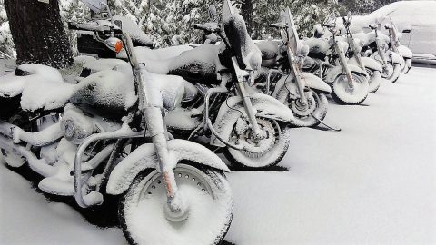 Winter Bikes