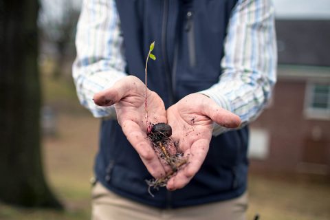 Austin Peay and Clarksville Parks & Recreation to take part in 250k Tree Day. 