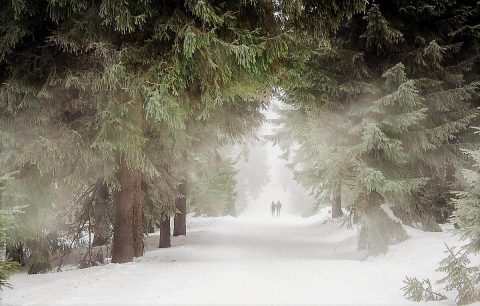 Winter Snowstorm