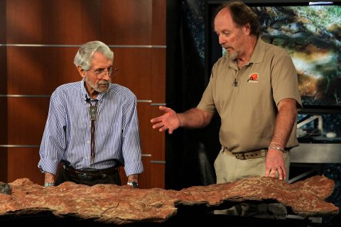 Ray Stanford (left), local dinosaur track expert, and Martin Lockley, paleontologist from the University of Colorado at Denver, discuss a cast of the sandstone slab imprinted with more than 70 dinosaur and mammal tracks that Stanford discovered at Goddard Space Flight Center in 2012. (NASA/Goddard/Rebecca Roth) Ray Stanford (left), local dinosaur track expert, and Martin Lockley, paleontologist from the University of Colorado at Denver, discuss a cast of the sandstone slab imprinted with more than 70 dinosaur and mammal tracks that Stanford discovered at Goddard Space Flight Center in 2012. (NASA/Goddard/Rebecca Roth)