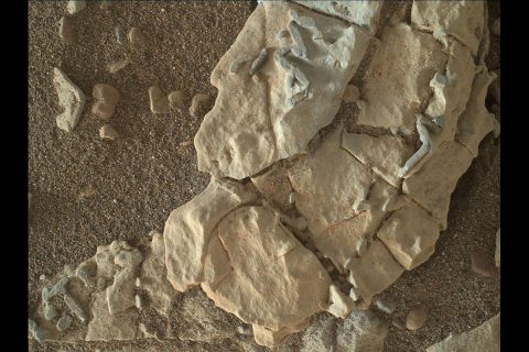 The stick-shaped features on this Martian rock are about the size of grains of rice. This view from the MAHLI camera on NASA's Curiosity Mars rover covers an area about 2 inches across, on a target called "Haroldswick." The sticks might be bits of dark material from mineral veins in this area. (NASA/JPL-Caltech/MSSS)