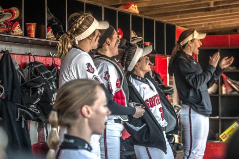 Austin Peay Softball plays in the Mercer Bears Classic this weekend. (APSU Sports Information)