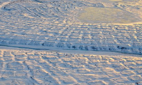 Tundra polygons on Alaska's North Slope. As permafrost thaws, this area is likely to be a source of atmospheric carbon before 2100. (NASA/JPL-Caltech/Charles Miller) Tundra polygons on Alaska's North Slope. As permafrost thaws, this area is likely to be a source of atmospheric carbon before 2100. (NASA/JPL-Caltech/Charles Miller)
