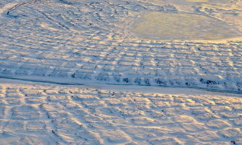 Tundra polygons on Alaska's North Slope. As permafrost thaws, this area is likely to be a source of atmospheric carbon before 2100. (NASA/JPL-Caltech/Charles Miller)