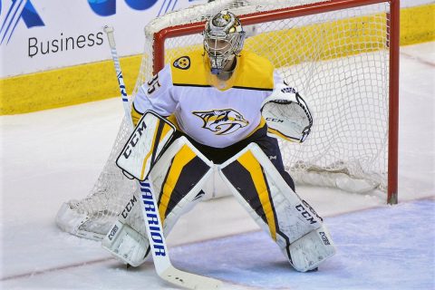 Nashville Predators goalie Pekka Rinne (35) defends during the second period against the Arizona Coyotes at Gila River Arena. (Matt Kartozian-USA TODAY Sports)