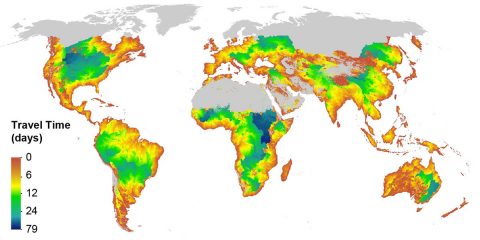 Global map of the minimum times it takes flood waves to exit the global river network. Such information can be used to develop data requirements for satellites that can detect floods, for applications in making real-time river management decisions. (NASA/JPL-Caltech)