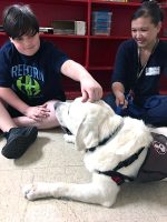 A Northeast Middle School student pets Samson, a therapy dog who belongs to Blanchfield Army Community Hospital pathology technician and animal assisted therapy volunteer Angela Barnett. Barnett, Samson and other hospital volunteers visited Northeast Middle School recently in support of a Partners in Education, a program that connects organizations in the community to help support local schools. (U.S. Army photo by Maria Yager)